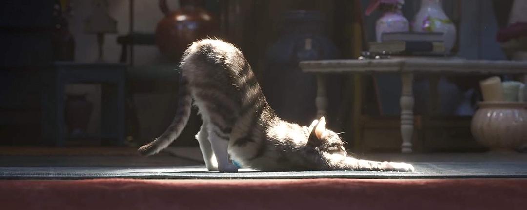 《玩具总动员4》剧照