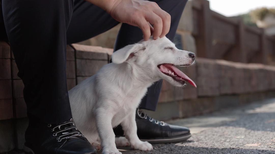 《少年派》剧照第54张图片
