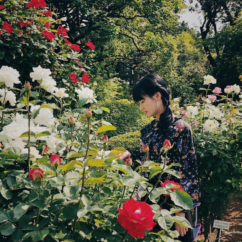 《长闲之庭》剧照第1张图片