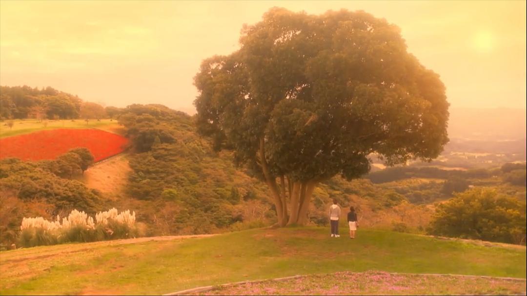 《花予野兽第一季》剧照第47张图片