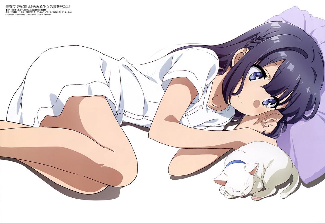 《青春期猪头少年不做怀梦少女的梦》剧照