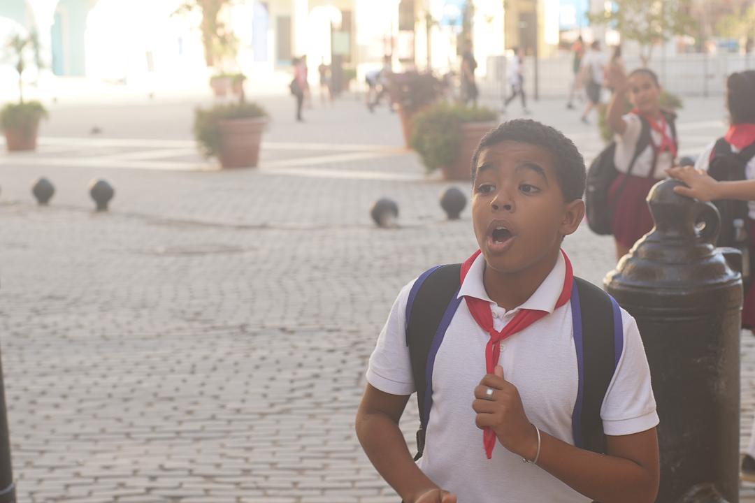 《古巴大宝荐》剧照第28张图片