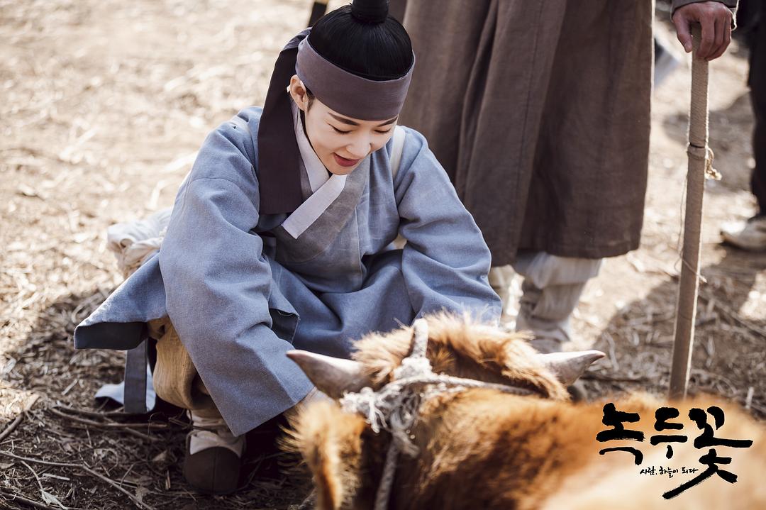 《绿豆花》剧照第33张图片