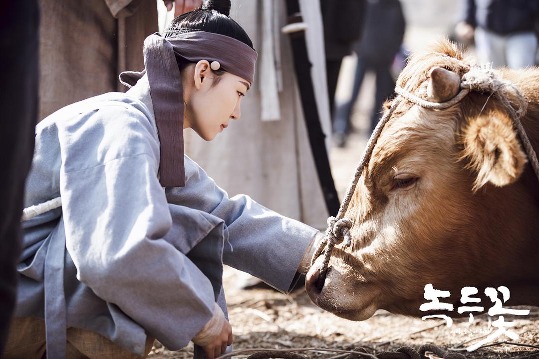 《绿豆花》剧照第27张图片