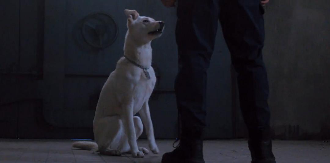 《泰坦第二季》剧照第60张图片