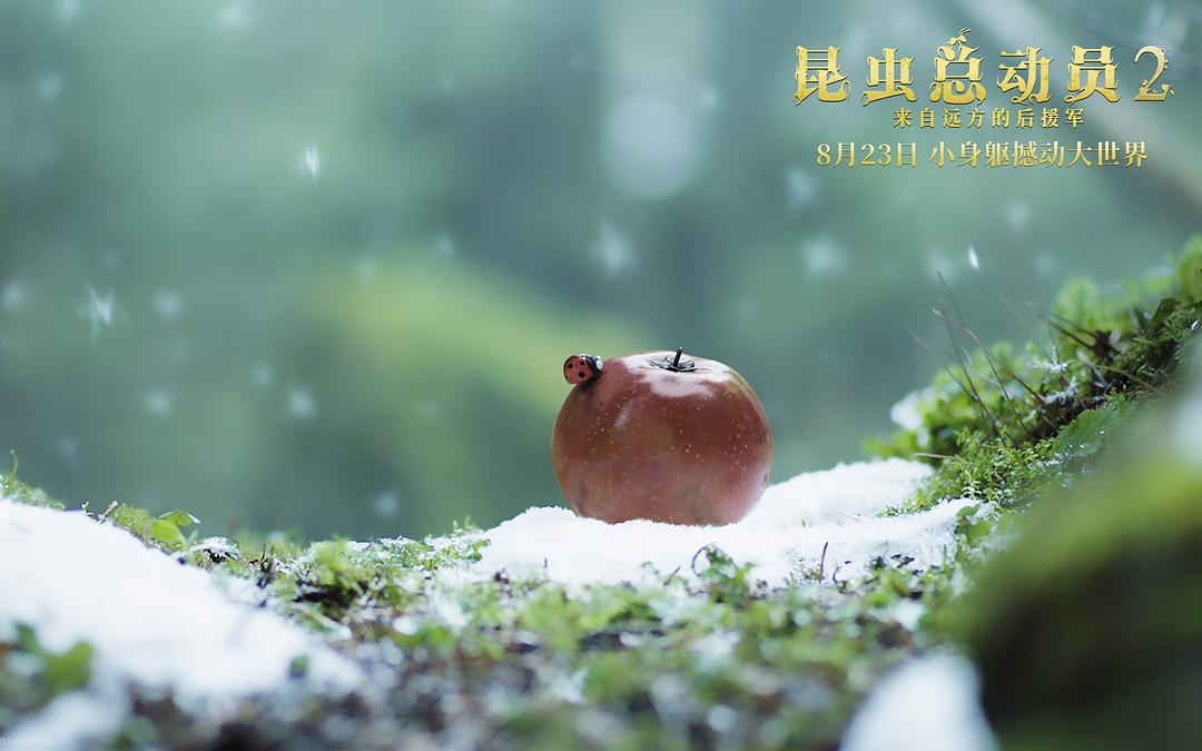 《昆虫总动员2——来自远方的后援军》海报第24张图片