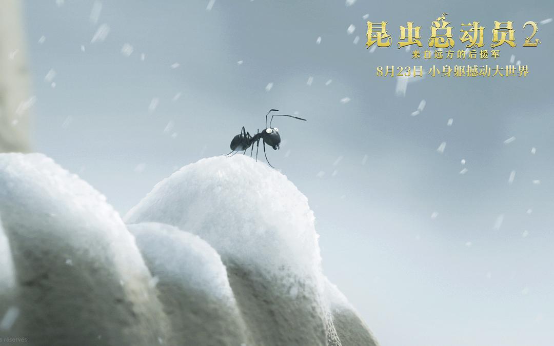 《昆虫总动员2——来自远方的后援军》海报第22张图片