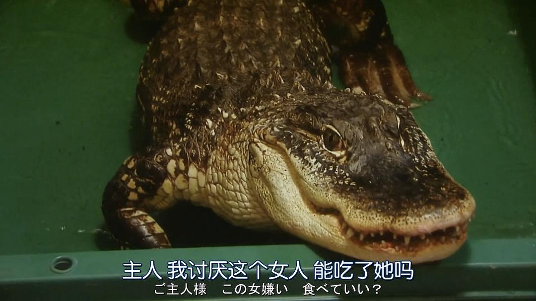 《轮到你了番外篇房门之内》海报第44张图片