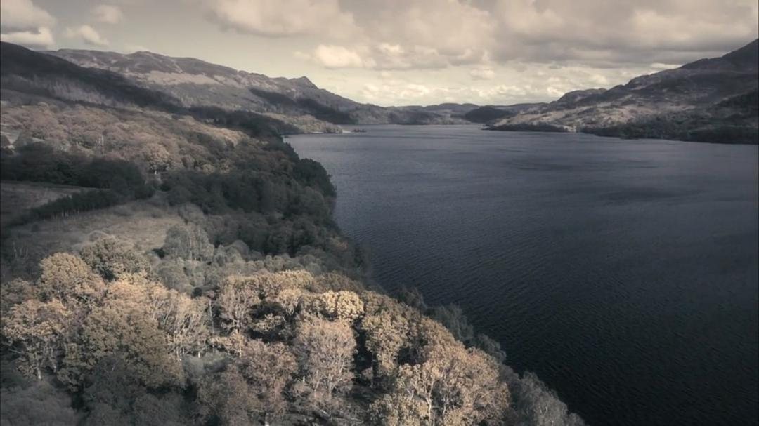 《猎鹿惊魂》剧照第26张图片