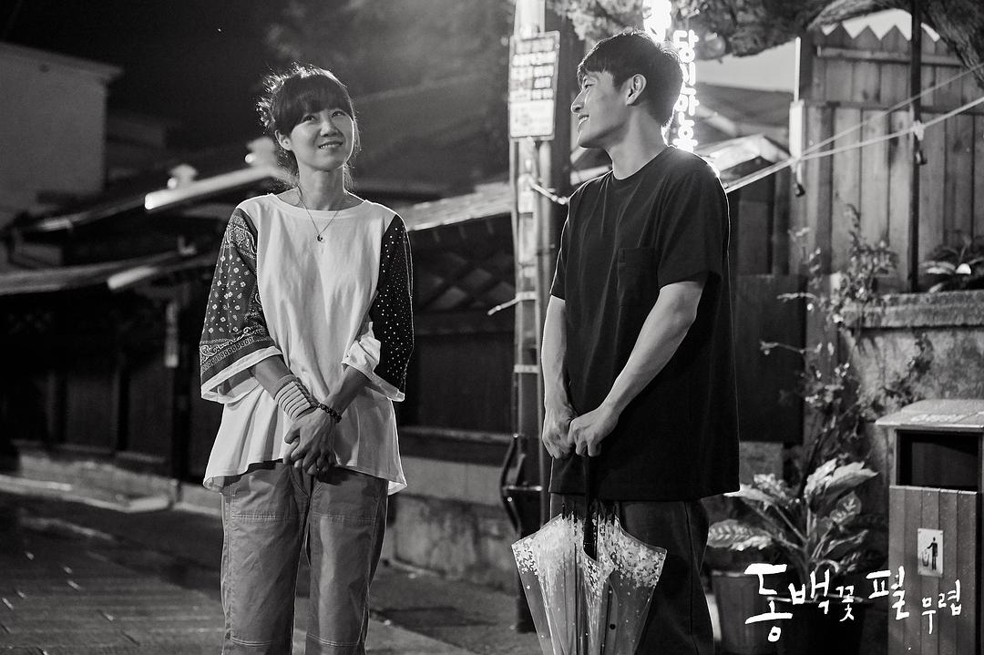 《山茶花开时》剧照