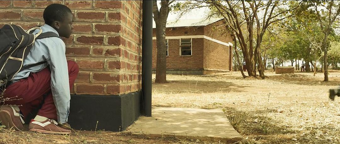 《驭风男孩》海报第24张图片