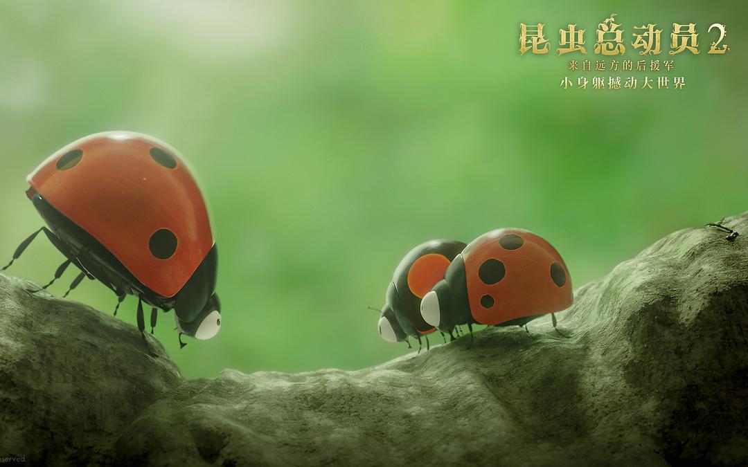 《昆虫总动员2——来自远方的后援军》海报第18张图片