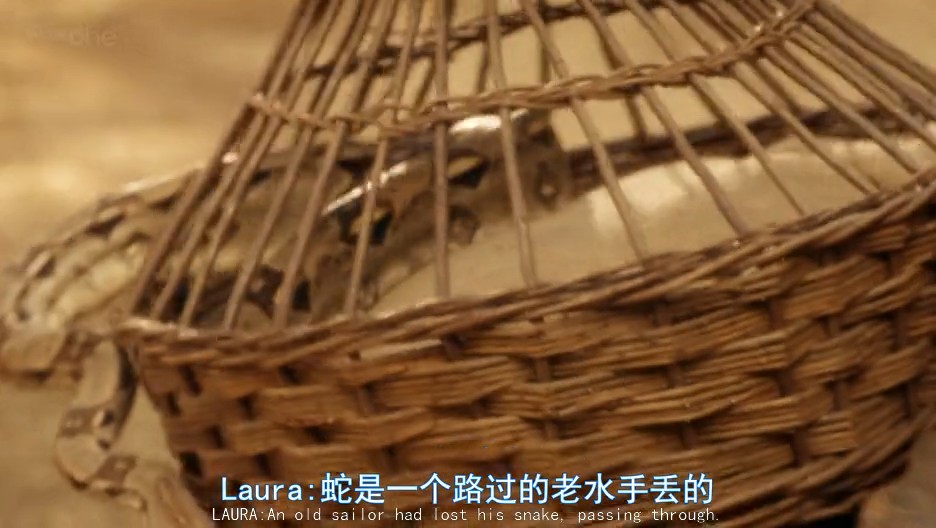 《雀起乡到烛镇第四季》海报