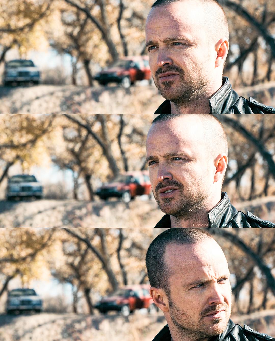 《续命之徒：绝命毒师电影》剧照第46张图片