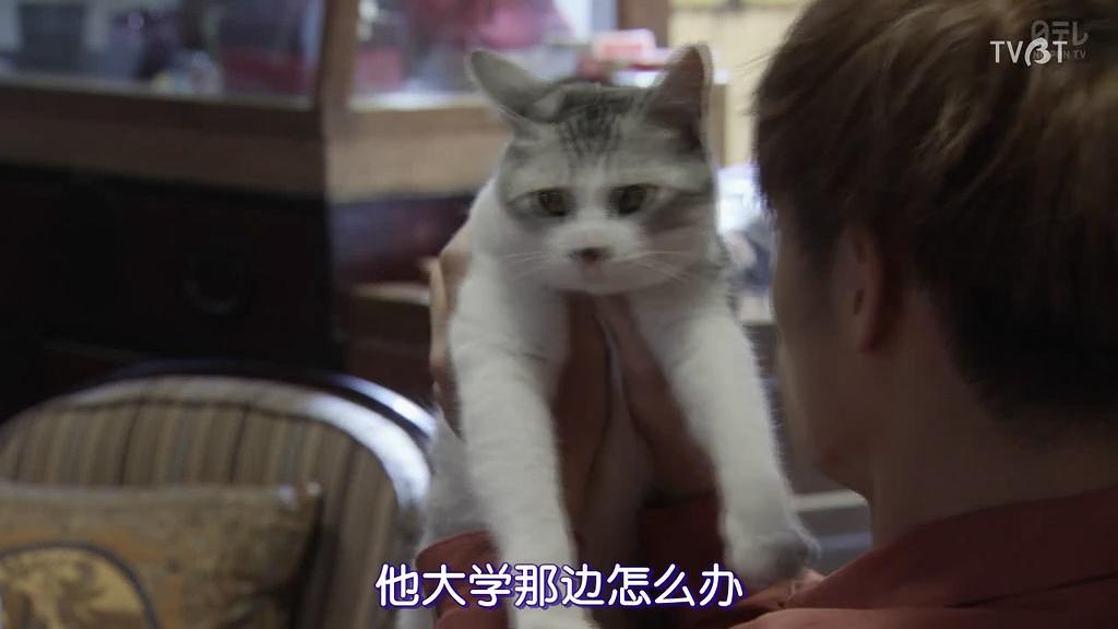 《临床犯罪学者火村英生的推理2019SP》海报第36张图片