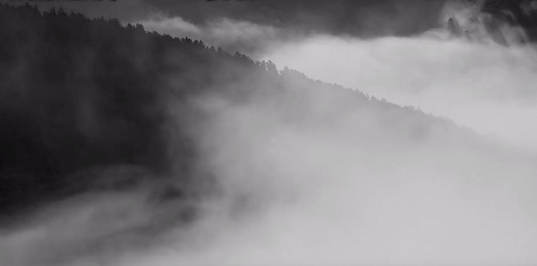 《伊莉莎与玛瑟拉》海报第45张图片