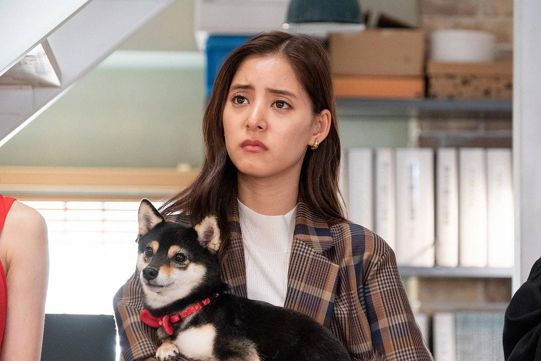 《前男友狂》剧照