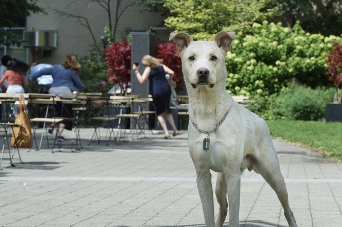 《泰坦第二季》剧照第12张图片