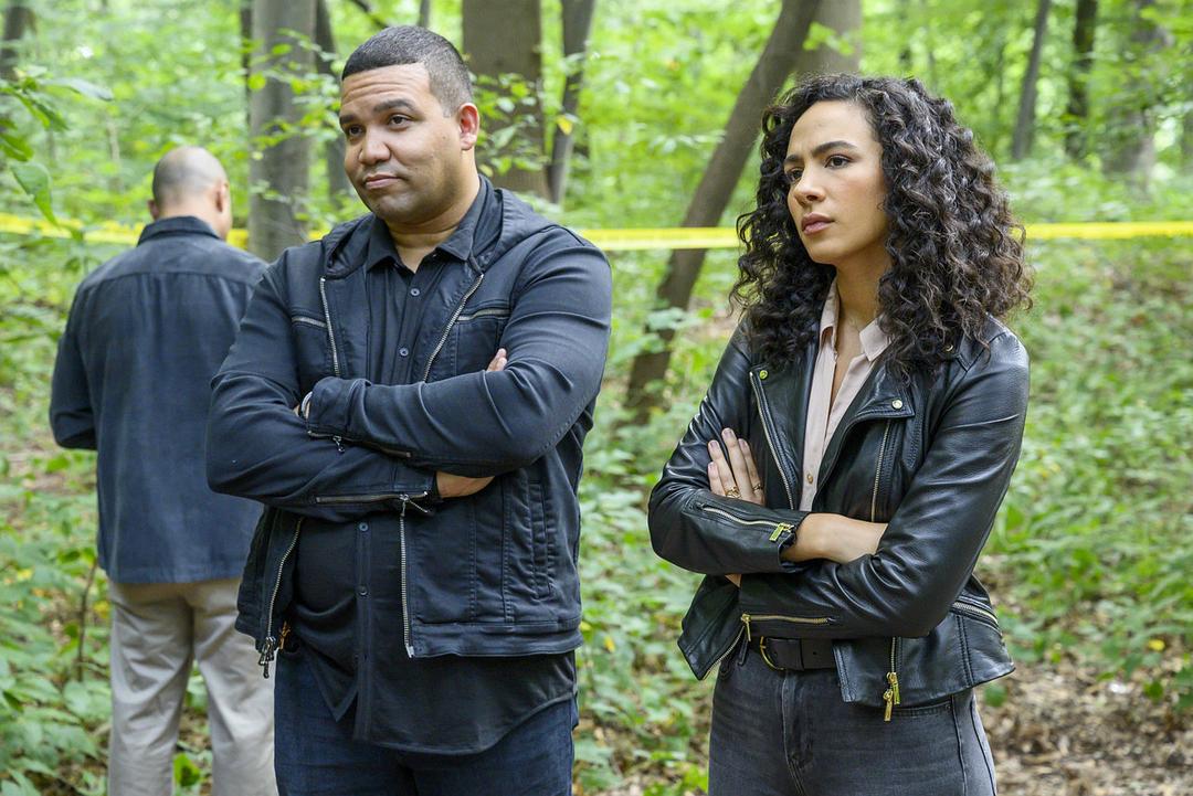 《浪子神探》海报第47张图片