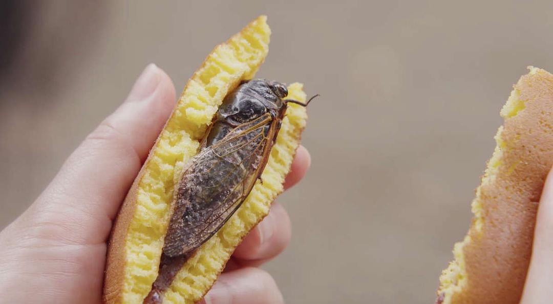 《夺爱之夏》剧照第12张图片