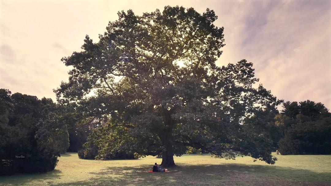 《狄金森第一季》剧照第53张图片