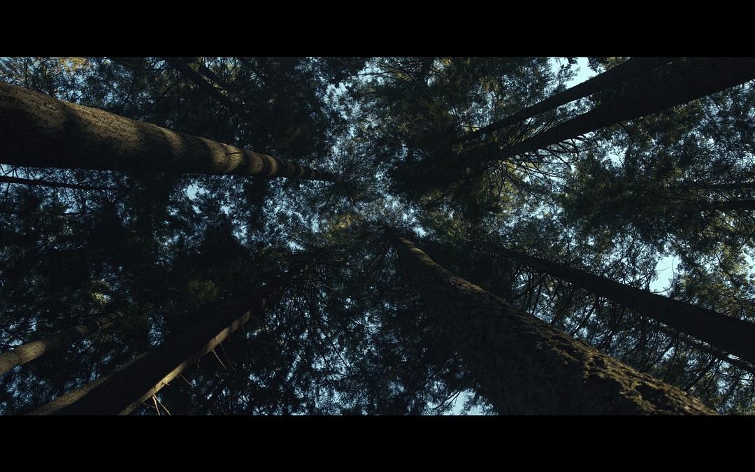 《看见第一季》剧照第16张图片