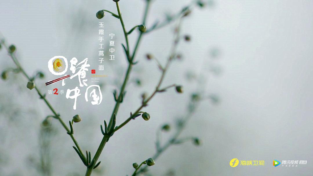《早餐中国第二季》剧照第23张图片