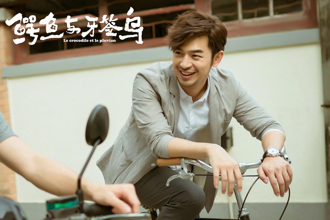 《鳄鱼与牙签鸟》海报