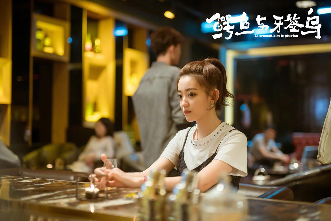 《鳄鱼与牙签鸟》海报