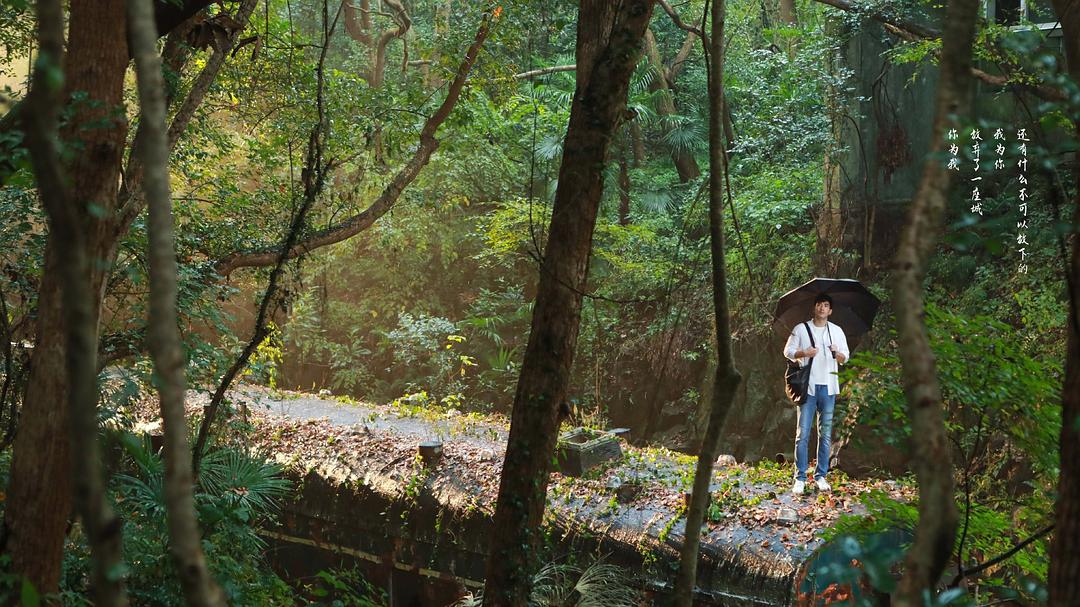 《彩虹的重力》剧照
