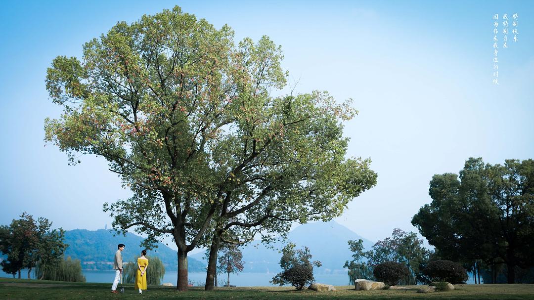 《彩虹的重力》剧照第19张图片
