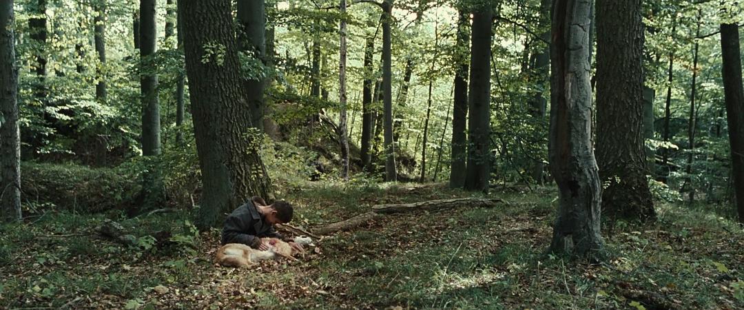 《流浪的尤莱克》海报第55张图片