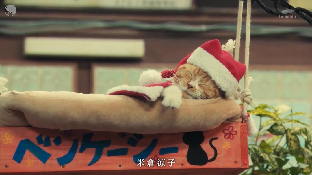 《X医生：外科医生大门未知子第6季》剧照