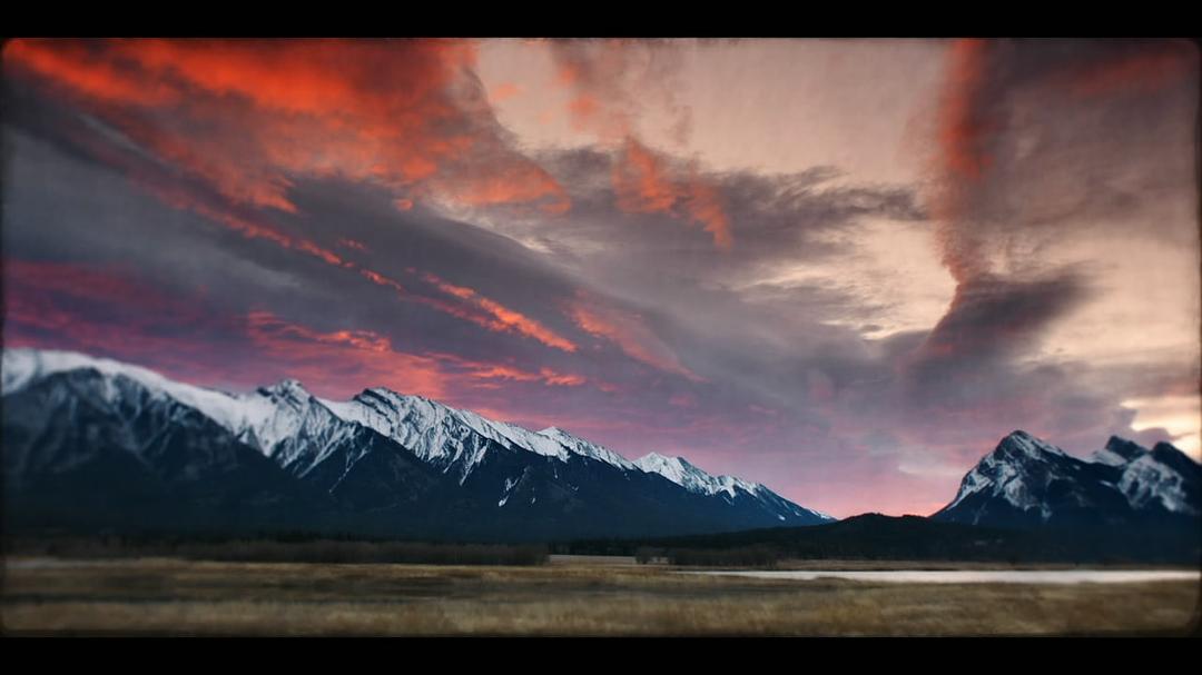 《多哥》海报第17张图片