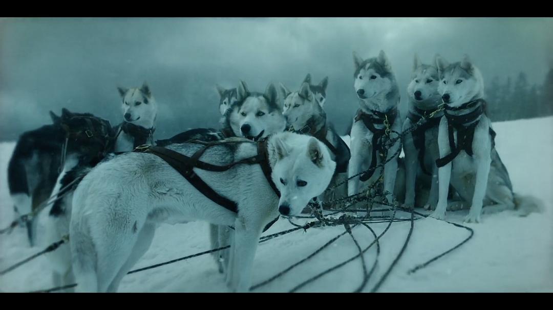 《多哥》海报第18张图片