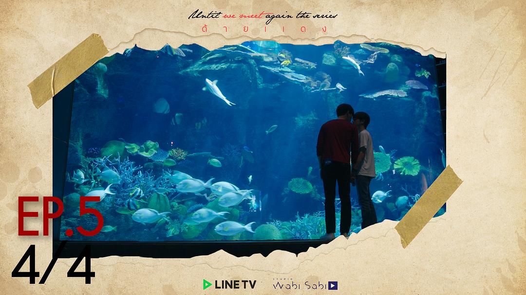 《待到重逢时》海报第52张图片