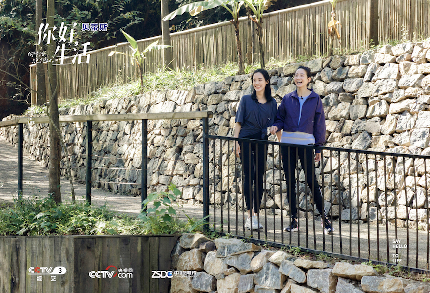 5、王智与张钧甯姐妹...