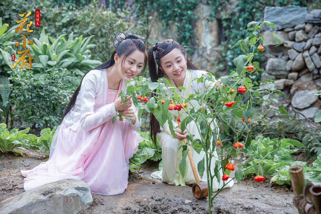 《人间烟火花小厨》剧照第56张图片