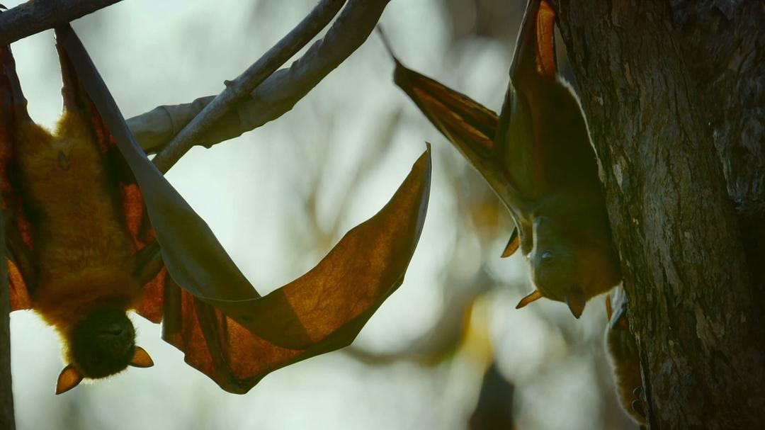 《荒野间谍第二季》剧照第57张图片