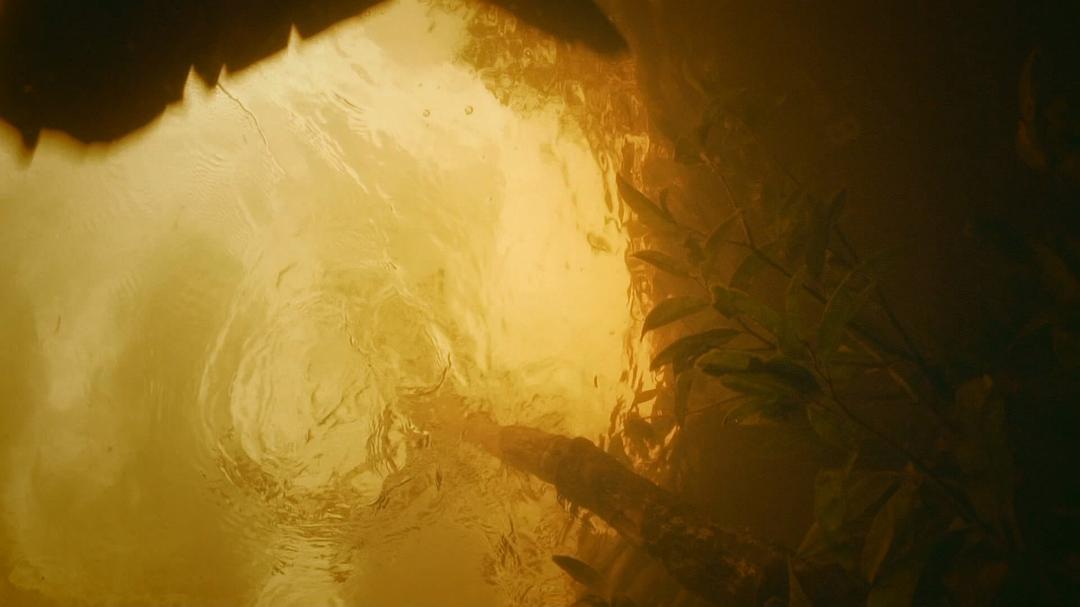 《荒野间谍第二季》剧照第55张图片