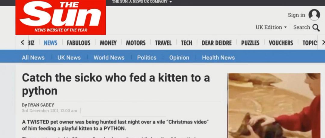 《别惹猫咪：追捕虐猫者》海报第6张图片