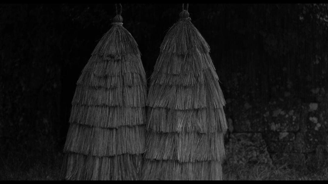 《伊莉莎与玛瑟拉》海报第42张图片