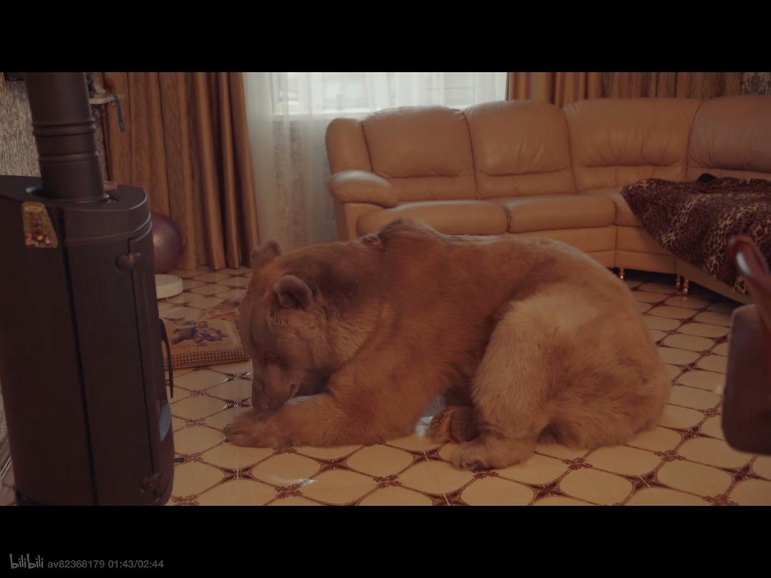 《北极大宝荐》剧照第21张图片