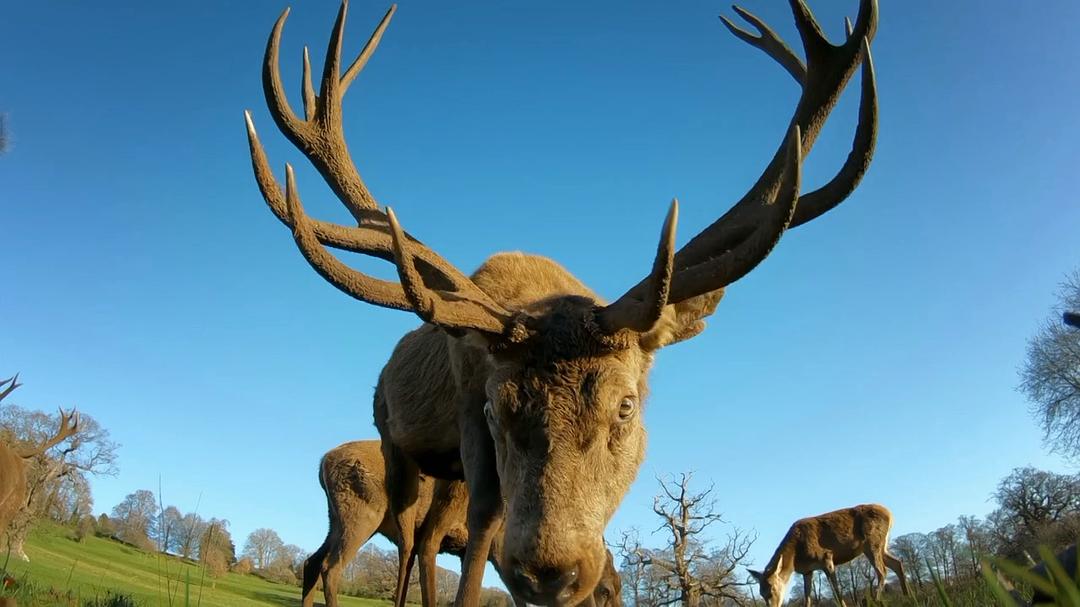 《荒野间谍第二季》剧照第30张图片