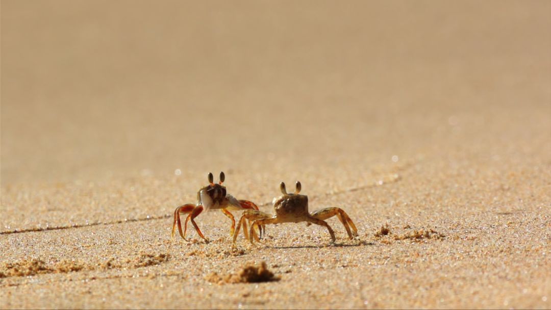 《蔚蓝之境》剧照