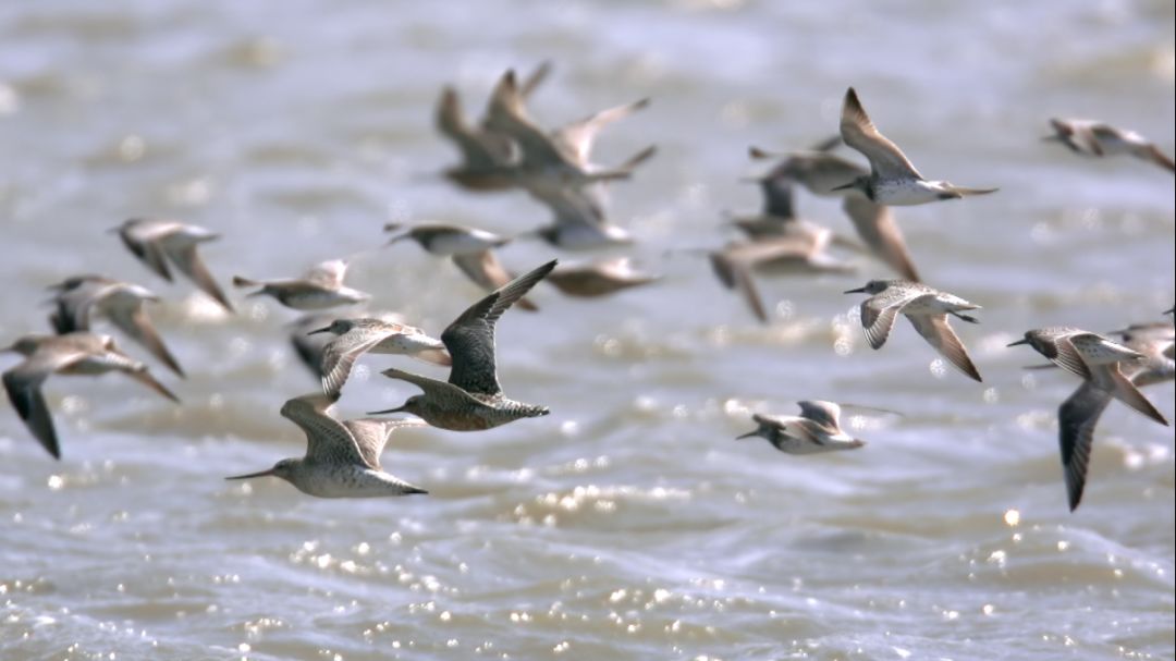 《蔚蓝之境》剧照