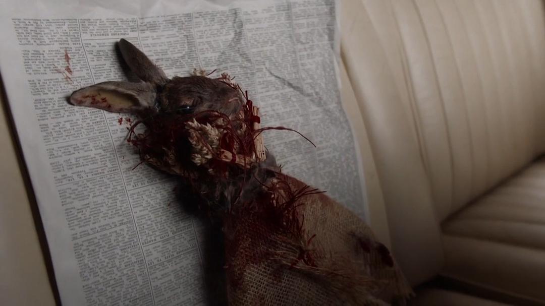 《灰马酒店》剧照第39张图片