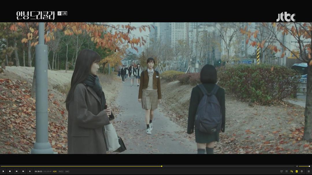 《你好，德古拉》海报第17张图片