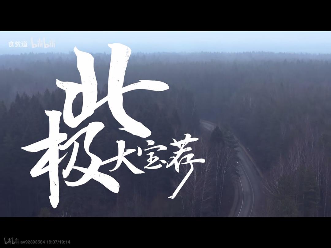 《北极大宝荐》剧照第4张图片