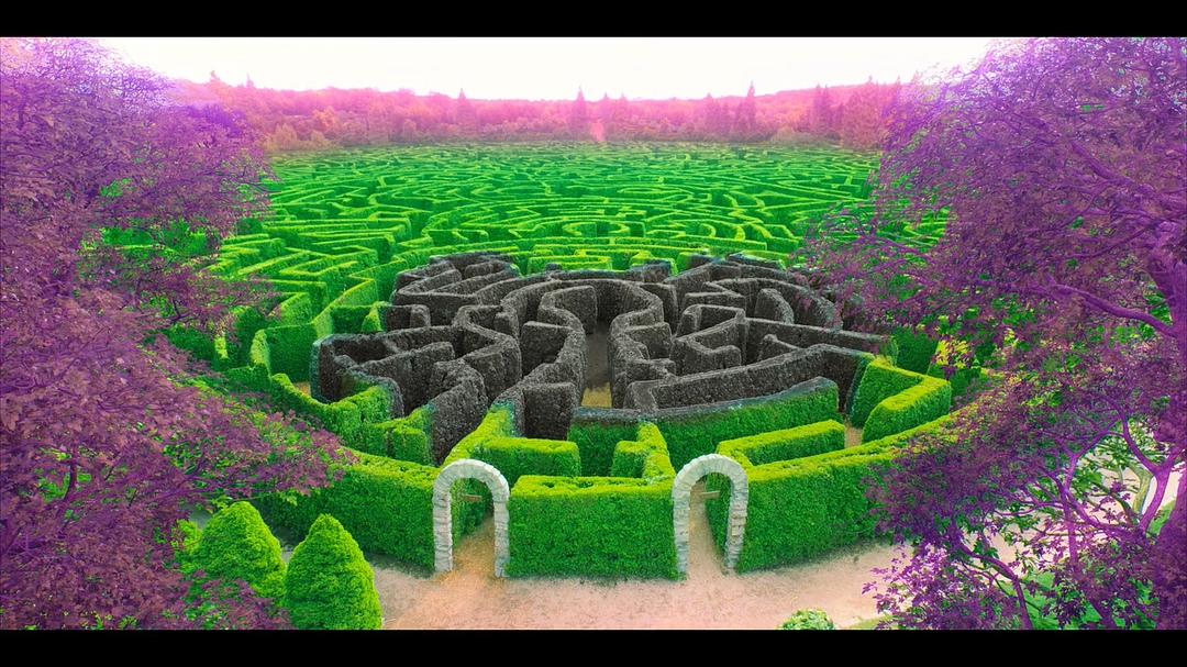 《副本第二季》剧照第23张图片